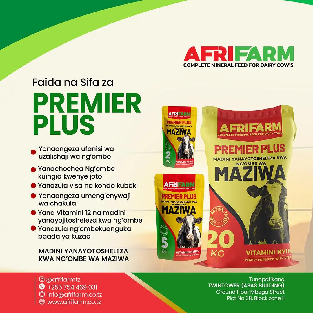 Afya Bora na Uzalishaji Zaidi wa Maziwa - Premier Plus