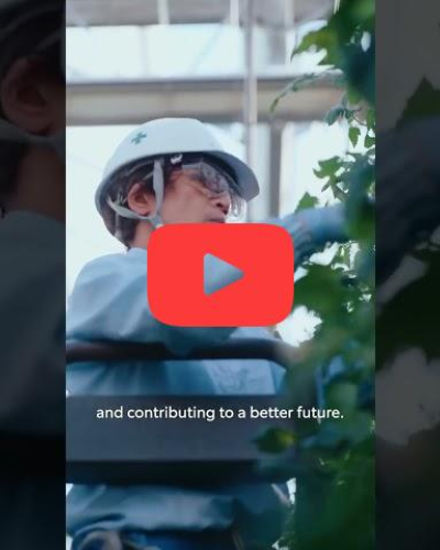 Toyota aims to contribute to a more sustainable future.