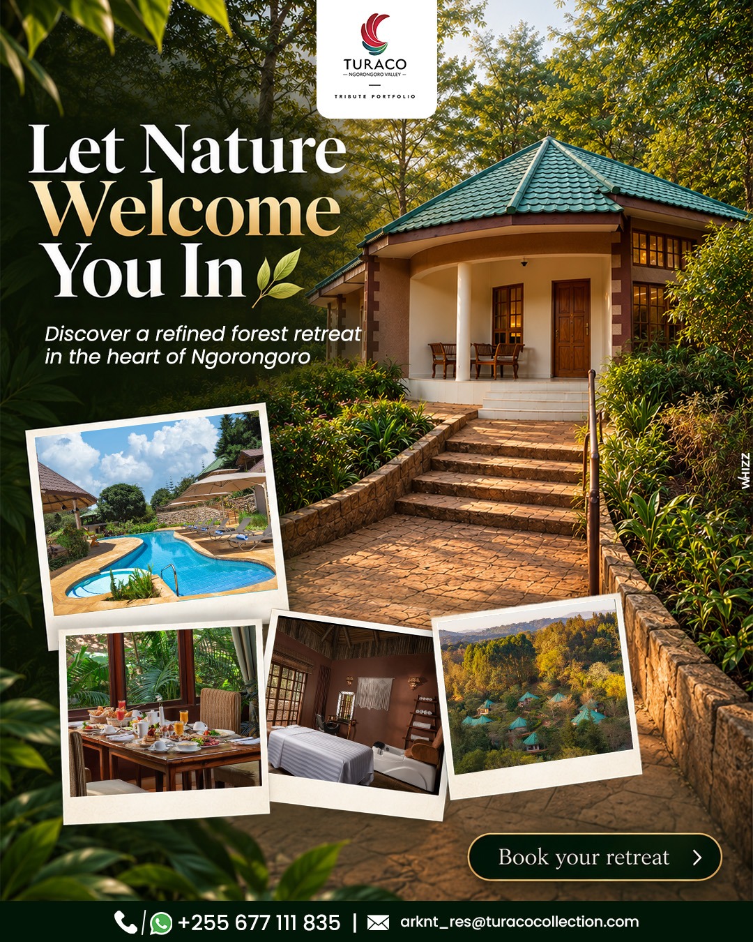 Ngorongoro calls to you
