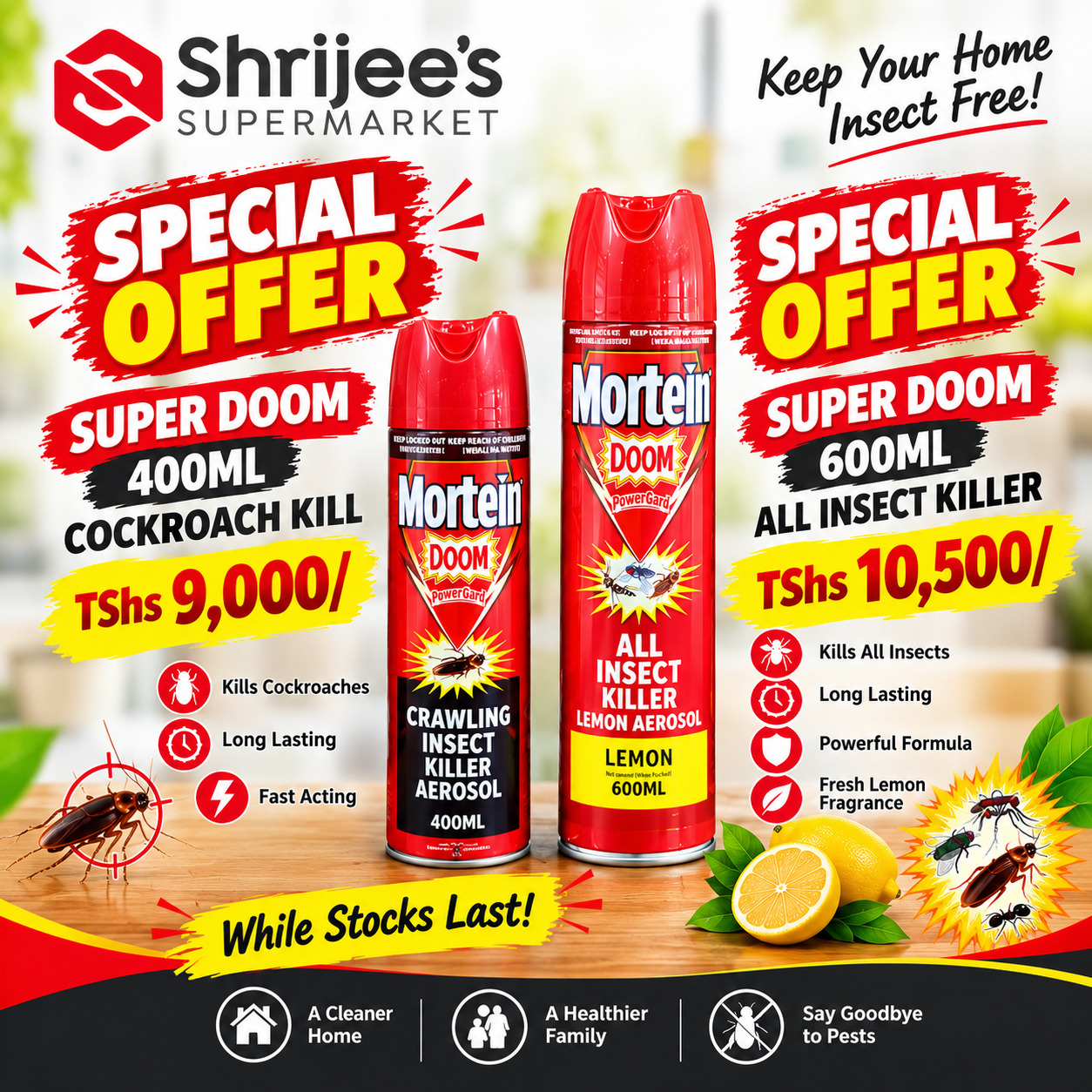 🐜 Stay Fresh & Insect-Free!