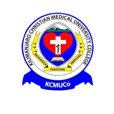 Ict consultancy service