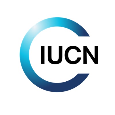 Consultancy to support development 