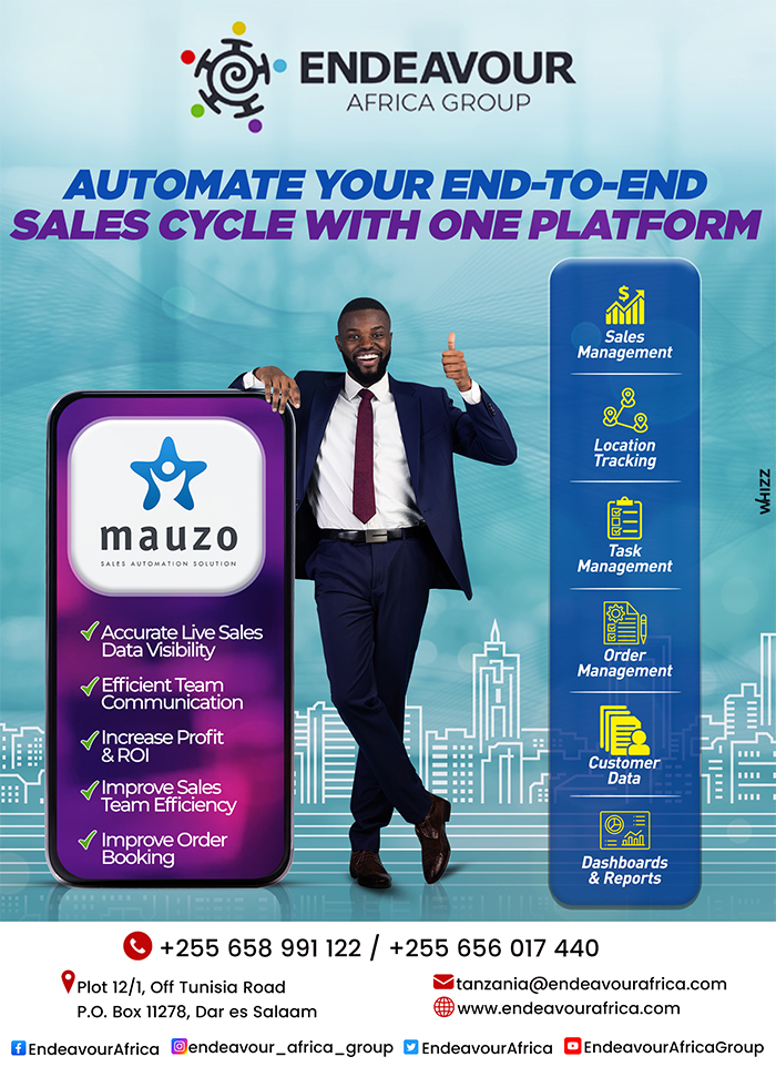 Endeavour Software Solutions in Dar Es Salaam - WhizzTanzania - Tanzania