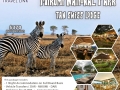 Travel Link in Dar es Salaam - WhizzTanzania - Tanzania